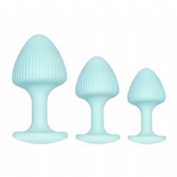 Silicone anal plug